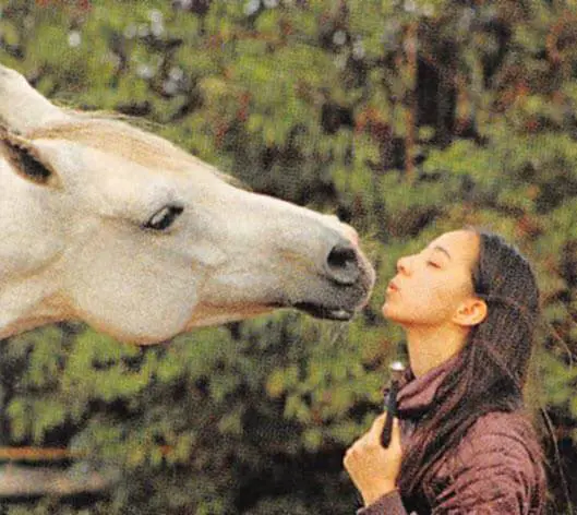 danee-bestbed-mit-pferd